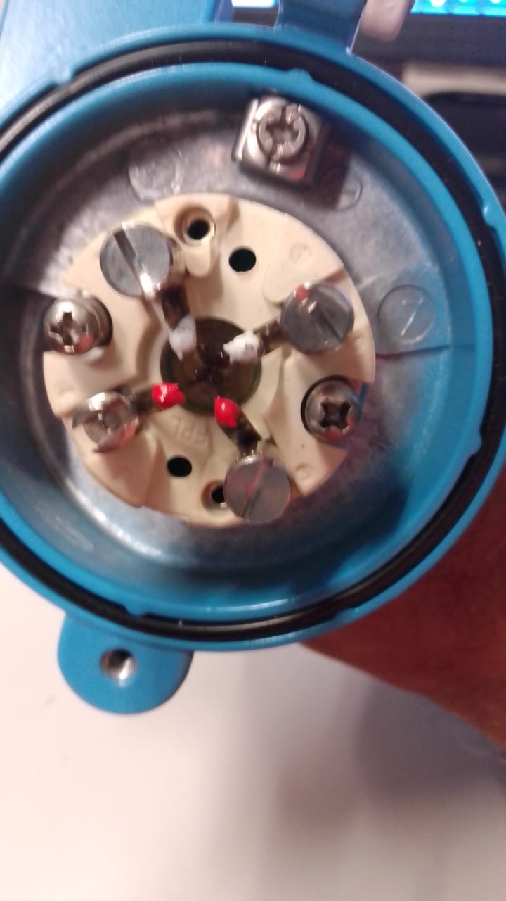 Sensor de Temperatura TR10 RTD Endress Hauser